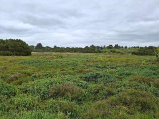 12 person holiday home in Tarm-By Traum - 3