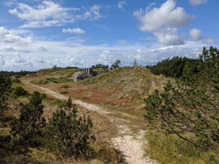 6 person holiday home in Blåvand - 3