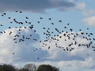 6 person holiday home in Ebeltoft-By Traum - 1