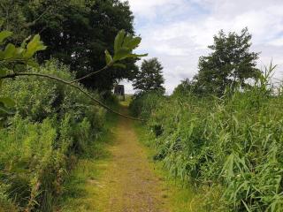8 person holiday home in Ebeltoft-By Traum - 4