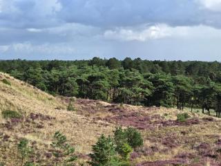 Modern Retreat with Sauna - By Traum Ferienwohnungen - 1
