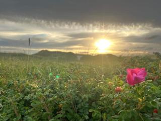 Modern Retreat with Sauna - By Traum Ferienwohnungen - 3