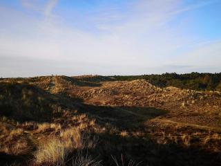 Luxury Pool Retreat in Blavand - By Traum Ferienwohnungen - 2