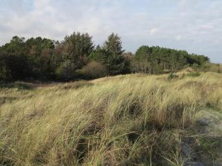 5 person holiday home in Jerup-By Traum - 3