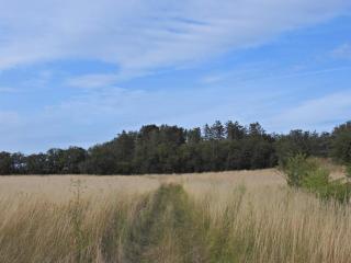 Modern Retreat by Beach - By Traum Ferienwohnungen - 2