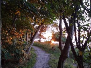 Modern Retreat by Beach - By Traum Ferienwohnungen - 2