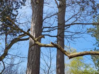 Modern Retreat by Beach - By Traum Ferienwohnungen - 3