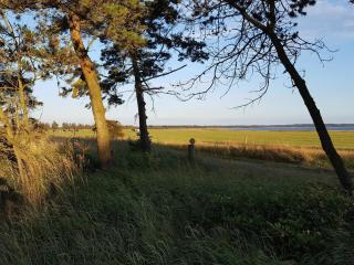 6 person holiday home in Løgstør-By Traum - 6