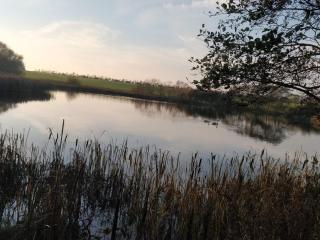 6 person holiday home in Løgstør-By Traum - 1