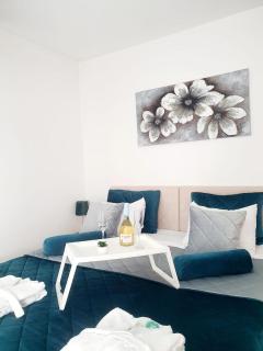 Wing Apartman Jagodina - 9