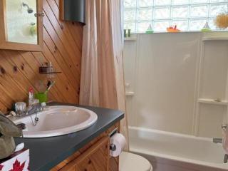 Charmant chalet sur le bord de l'eau - 1