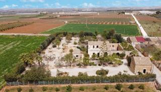 The Holiday And Art Seahorse House - 4