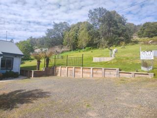 Avalon Blue @ Derby - *Blue Derby Endorsed* - 7