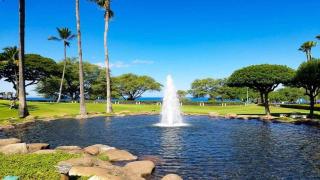 Kamaole Sands 1101 · KAS 1101 Updated Beachy Chic 2BD Across Bea - 9