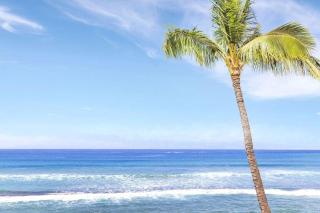 Paki Maui 301 · Direct Oceanfront Views Remodeled 2BD Condo - 2