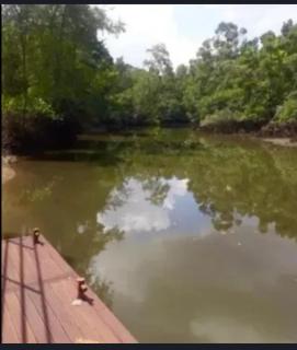 House available for the Cop - 3