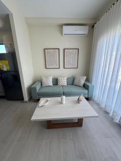 Hermoso PUNTA CANA VISTA CANA - 9