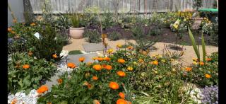 The Tides - Luxe Beach House Mornington - 3