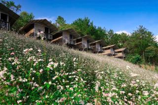 Top view La Pan Tan - 9