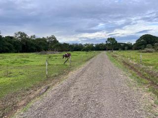 Apartment near the Río Niño - 6