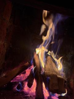 Bosque de Perlillas - 6