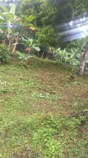 Finca la Cumbre -  - 3