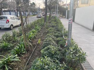 Keep walking in Nuñoa - 7