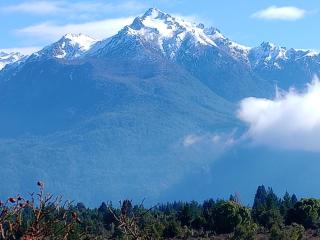 Cabaña La Delfina - 2