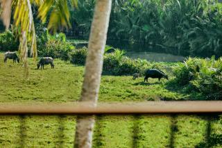 Little Oasis - An Eco Friendly Hotel & Spa - 1