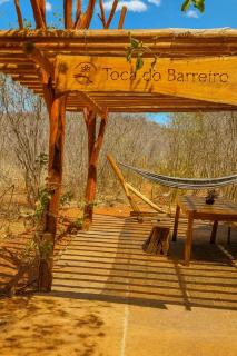 Sertão do Luar - Jurubeba - 2