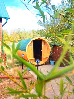 Sunny Side Fruska Gora - veliko imanje sa kucom za odmor - 1