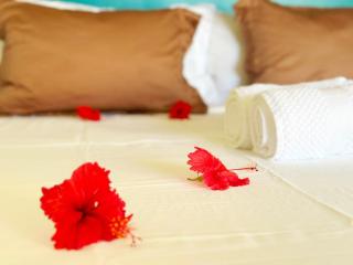 Air-conditioned sea access studio, fiber optic, parking - 4