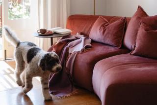 Miss Midgley's - Refectory - 7