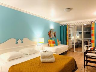 DESIRADE 18 sainte luce - 1