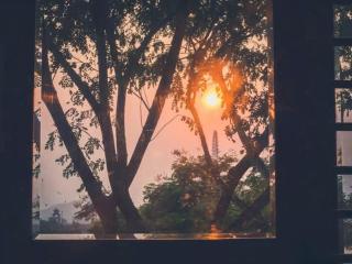 Reverside - Sunset Chilling - 3A - 8