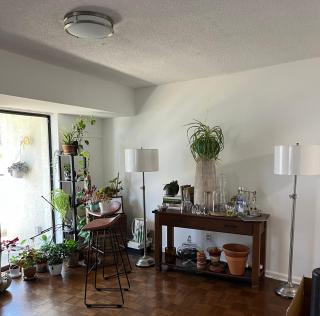 The Carlyle House - 4