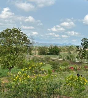 Wisuthida Villa - Wang Saphung - 4