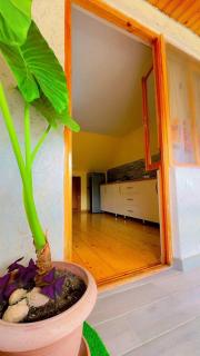 Guest House Sando - Borjomi - 3