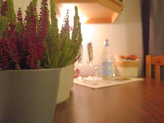 RATSSCHÄNKE Südheide - 4