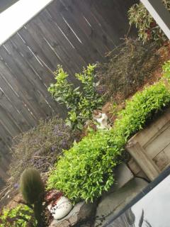 Hillpark Hideaway - 2