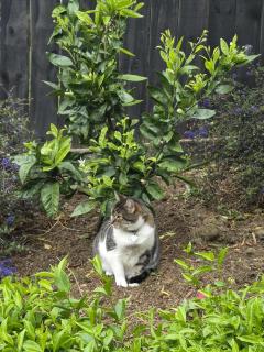 Hillpark Hideaway - 1