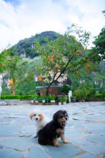 Tam Coc Kamili Bungalow & Homestay - 9