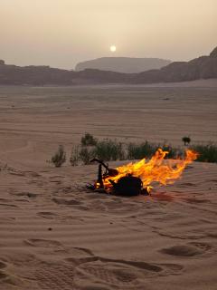 Rum Rose Camp and tours - Wadi Rum - 2