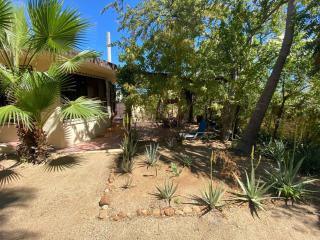 Large family house in Cabo , pet friendly - 4