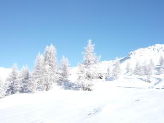 Beau duplex 6 pers, Les Arcs 1800, animaux admis - FR-1-411-942 - 7