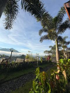 Lingga bali Mount view - 9