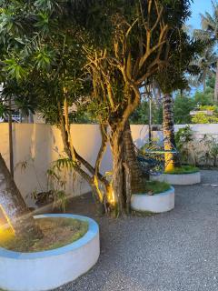 Coco Bliss - Ahangama - 2