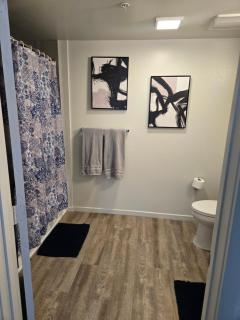 Downtown 2 bedroom apartment - 1