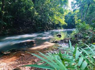 Home in the nature, 8 mins from Coron town - 2