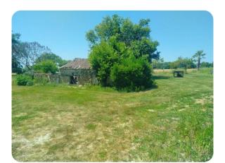 Appartement Cosy - 1